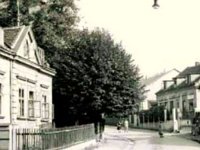Ulica Nad lipom 1956. godine